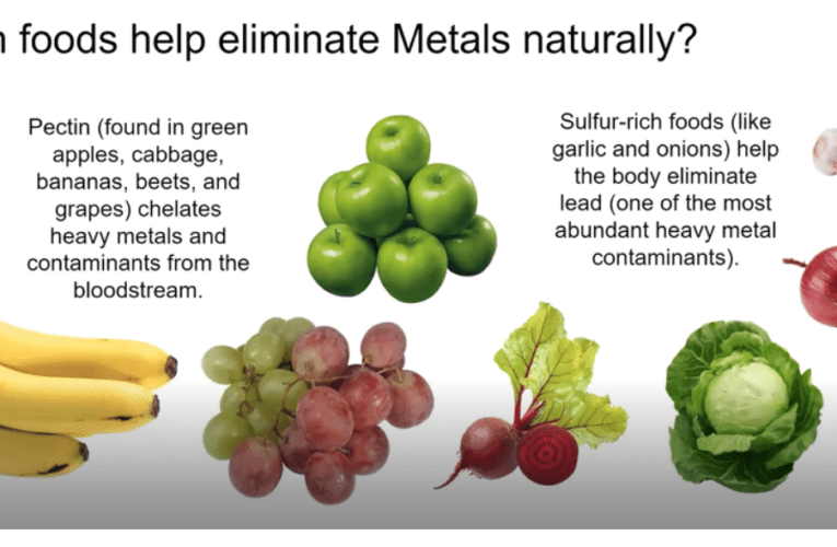 Eliminate Heavy Metals Naturally in Gainesville