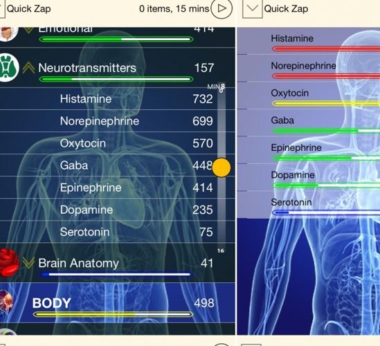 What is frequency medicine? Get a Free Remote Frequency Session in Gainesville